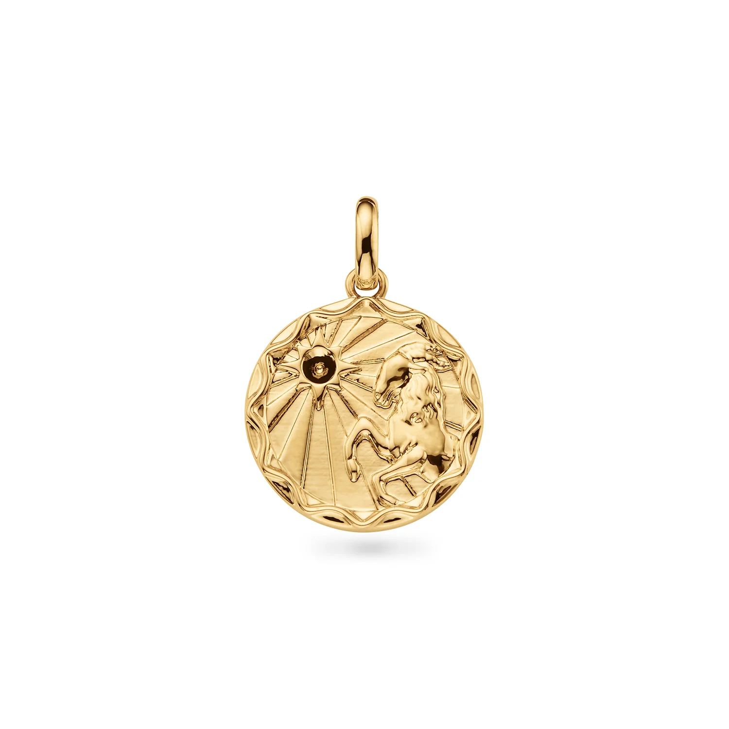 Custom Zodiac Coin Necklace (Gold) - Image 10