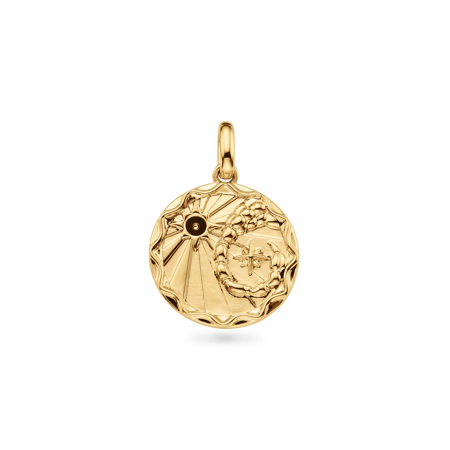 Custom Zodiac Coin Necklace (Gold) - Image 16
