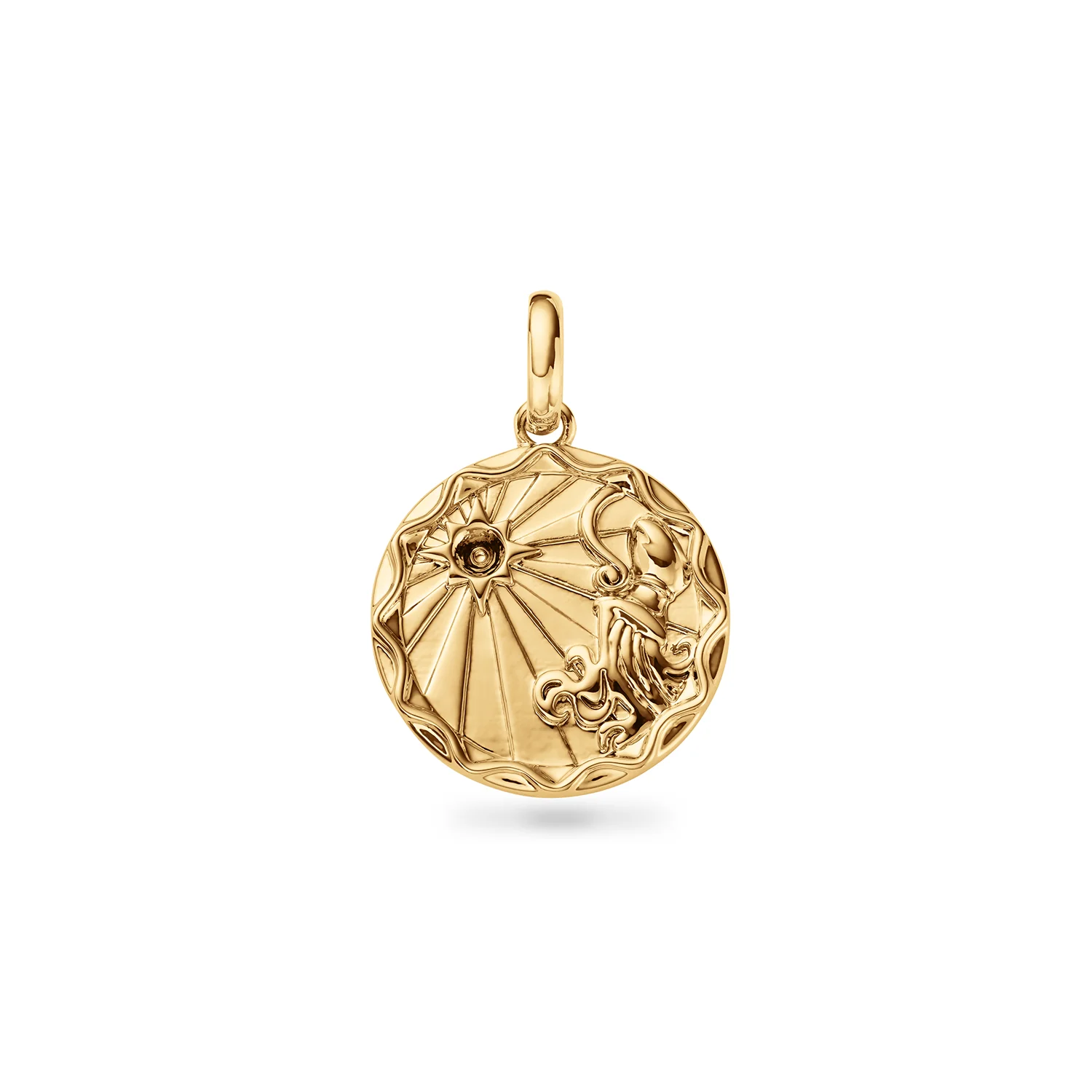 Custom Zodiac Coin Necklace (Gold) - Image 7
