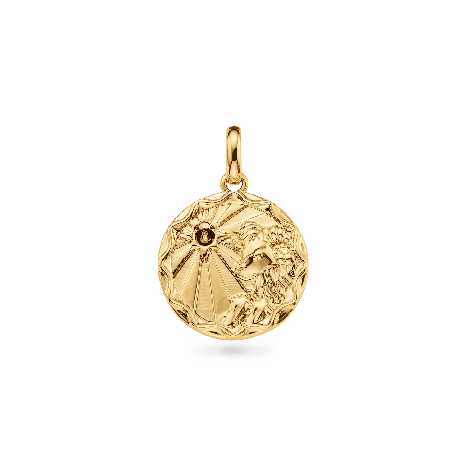 Custom Zodiac Coin Necklace (Gold) - Image 8