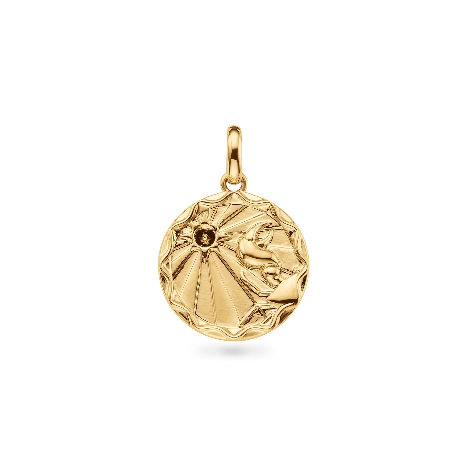 Custom Zodiac Coin Necklace (Gold) - Image 9