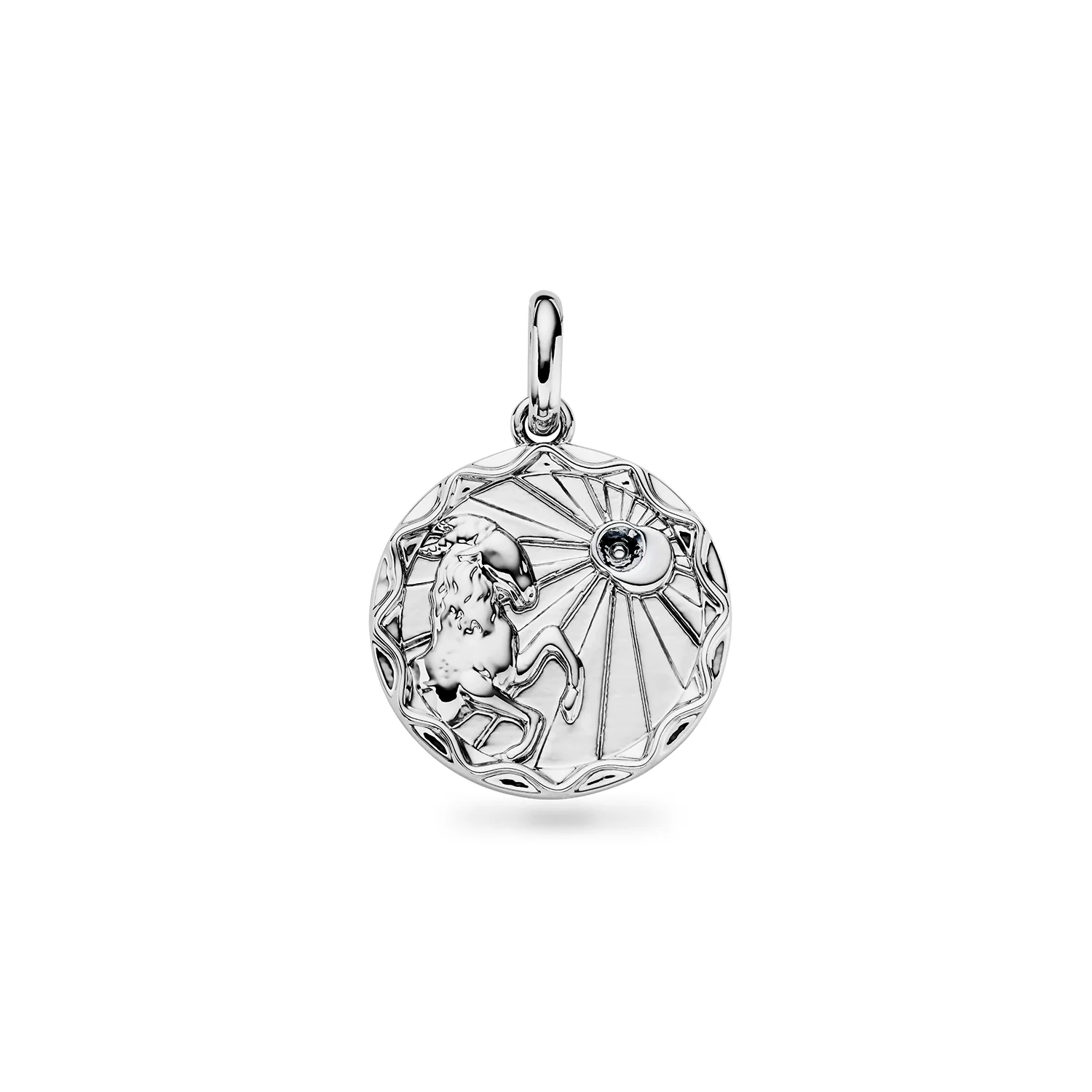 Custom Zodiac Coin Necklace (Silver) - Image 10