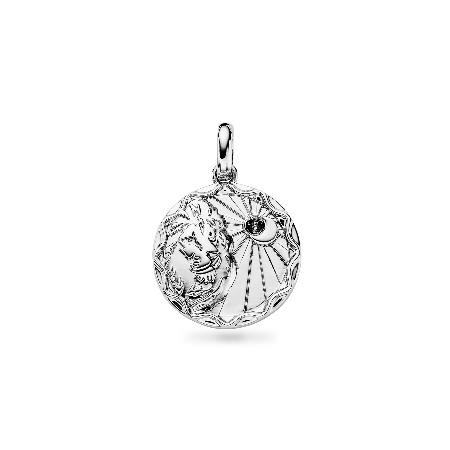 Custom Zodiac Coin Necklace (Silver) - Image 12