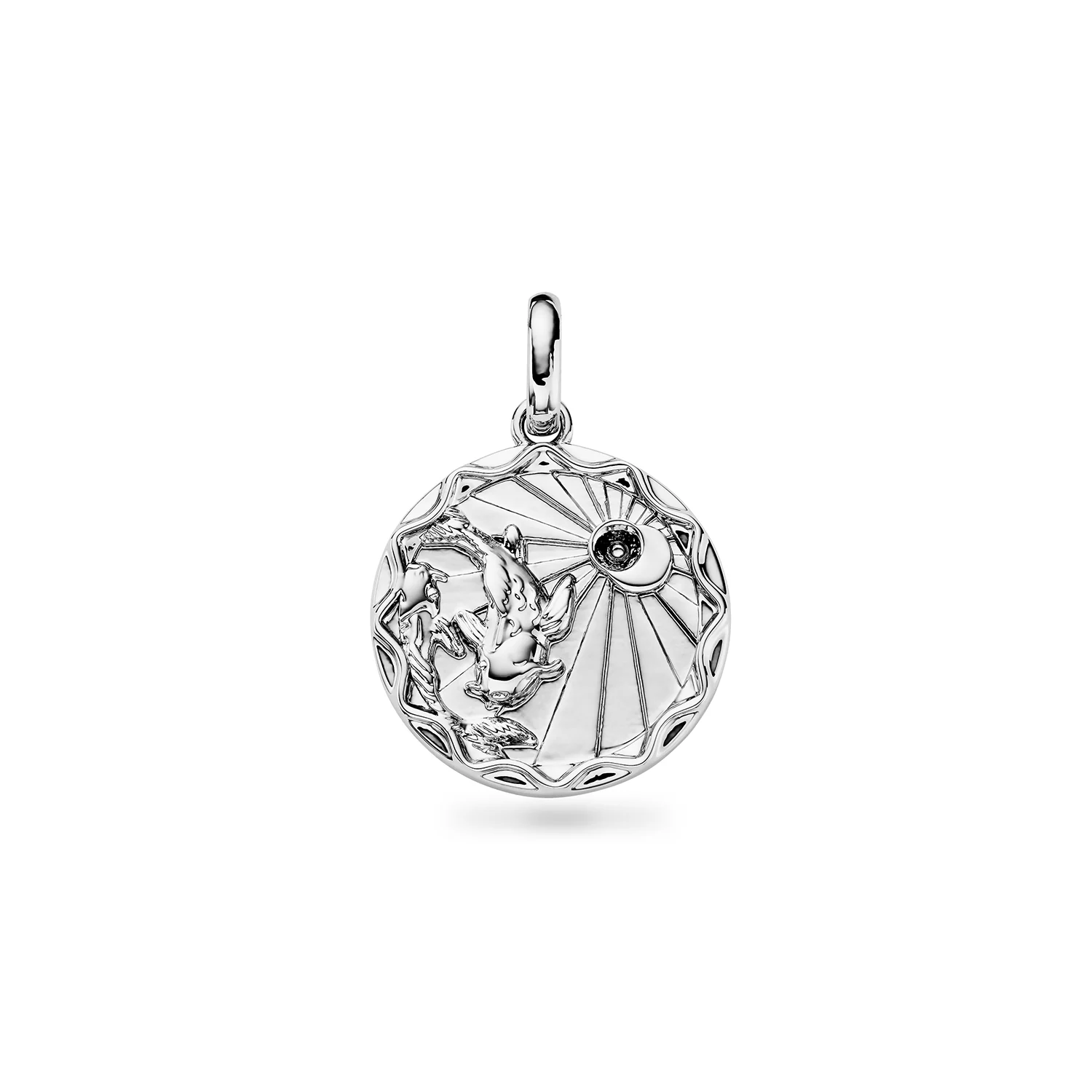 Custom Zodiac Coin Necklace (Silver) - Image 14
