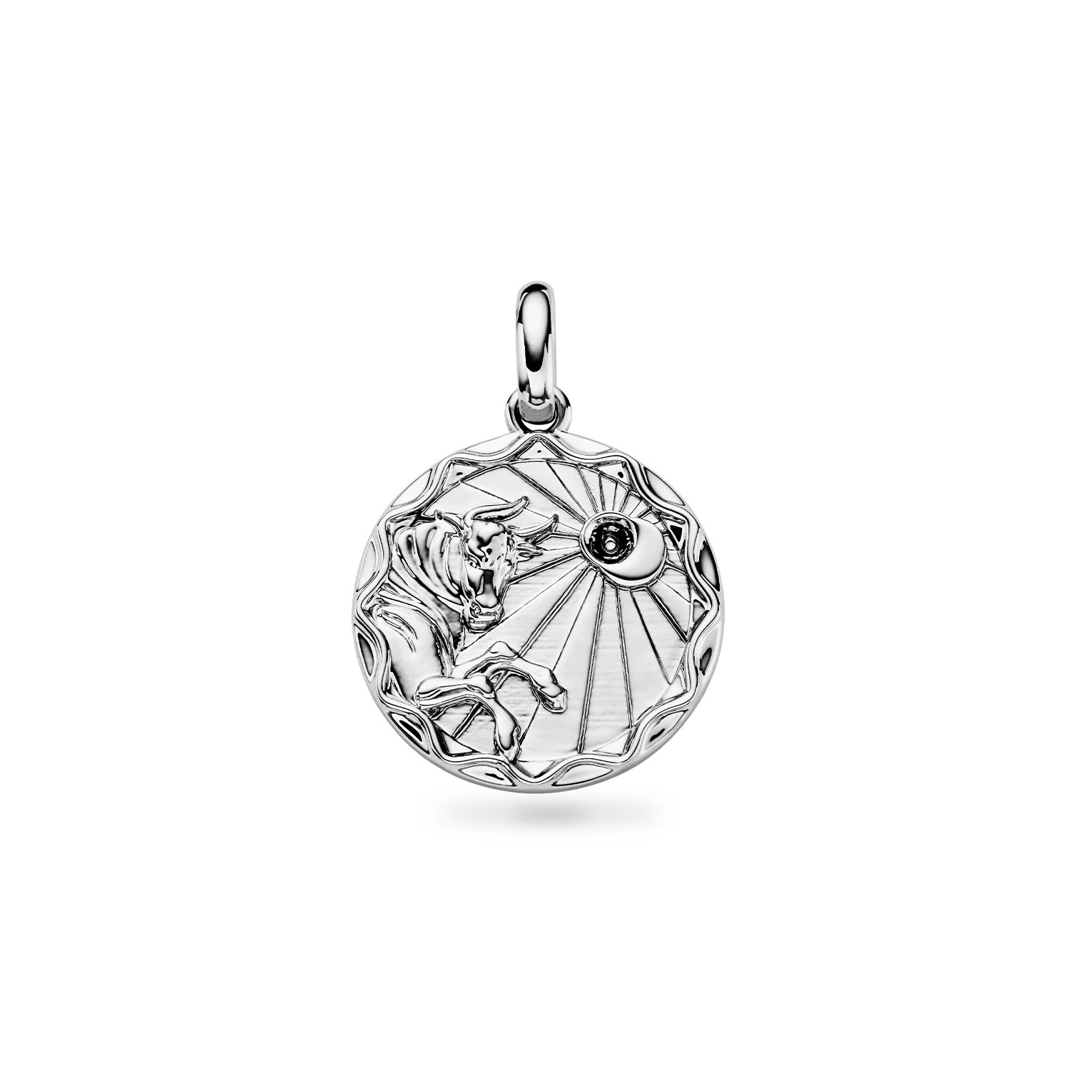 Custom Zodiac Coin Necklace (Silver) - Image 18