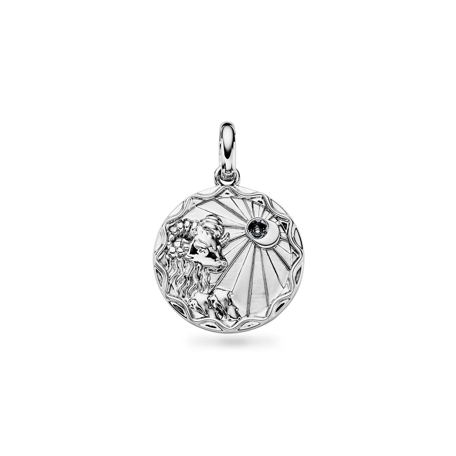 Custom Zodiac Coin Necklace (Silver) - Image 8