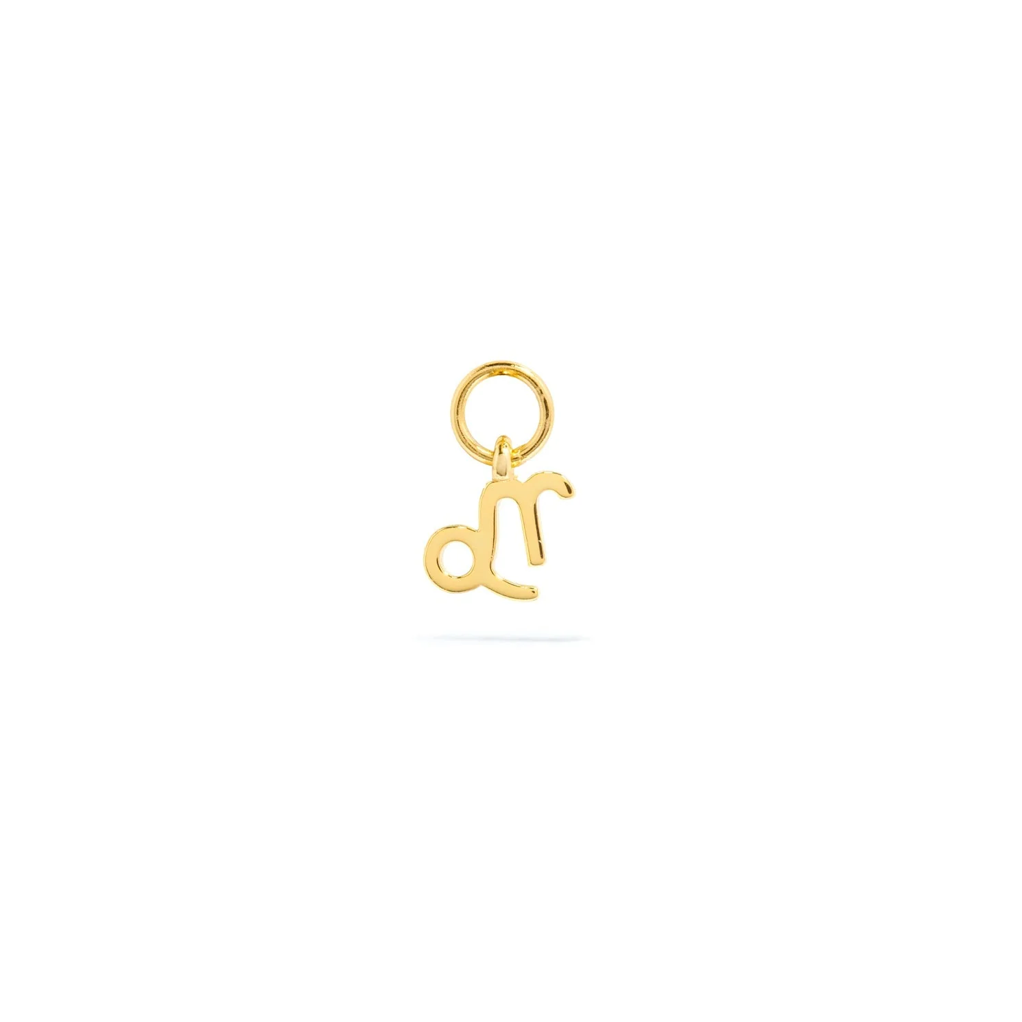 Stacey's Stories Mini Zodiac Hoop Charm (Gold) - Image 10