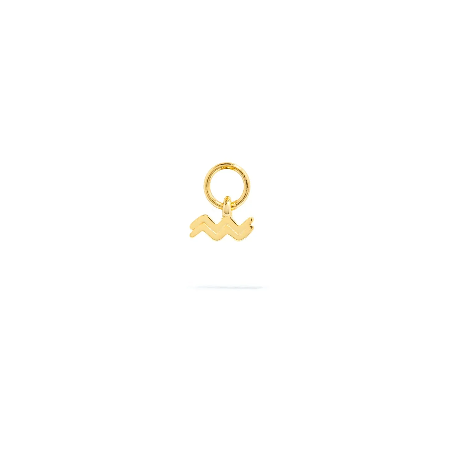 Stacey's Stories Mini Zodiac Hoop Charm (Gold) - Image 12