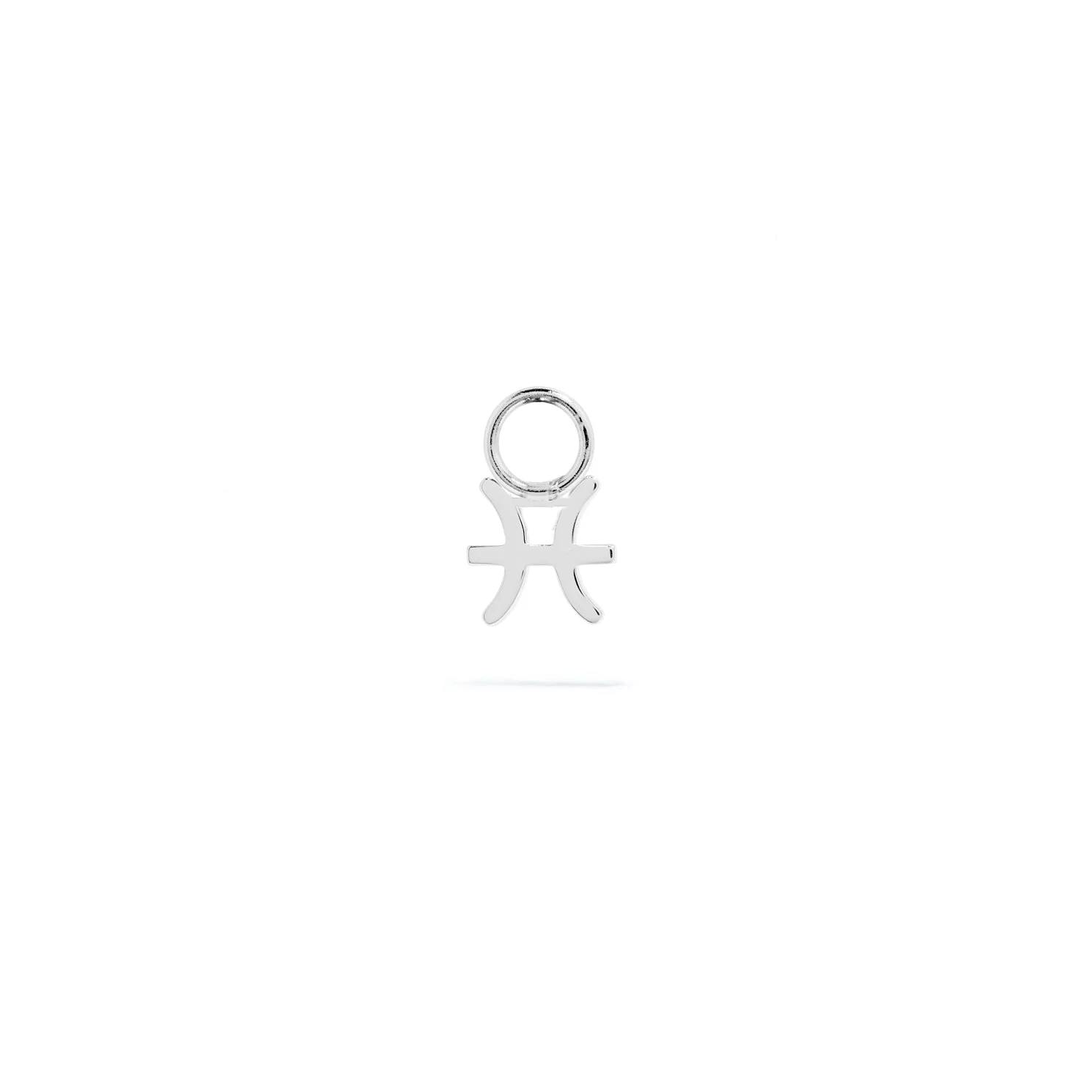 Stacey's Stories Mini Zodiac Hoop Charm (Silver) - Image 12